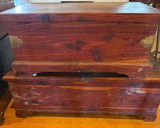 Two cedar trunks