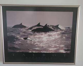 Bob Talbot "Delphinus Delphis" Portfolio Print