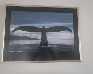 Bob Talbot "Megaptera" Whale Tail Print
