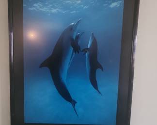 Bob Talbot "Danse" Dolphin Print