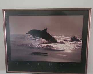 Bob Talbot "Portfolio" Delphinus Delphis Print