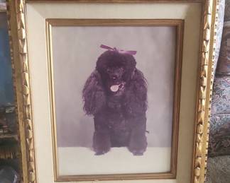 Vintage Black Poodle Portrait Painting in Ornate Gold Frame