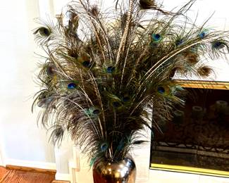 Peacock feathers in vase