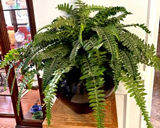 Silk fern in large black container