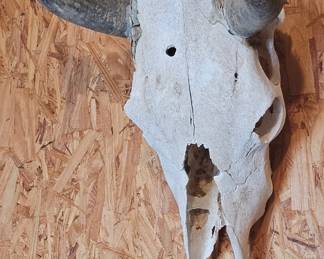 Loaded+++: Boat+ Jeep+ Tools+ Lumber+ Shed