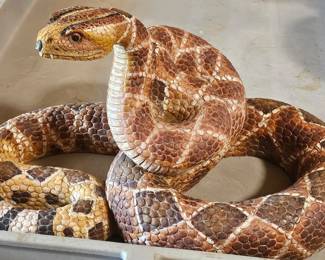 Loaded+++: Boat+ Jeep+ Tools+ Lumber+ Shed