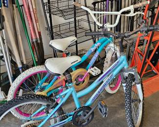 Loaded+++: Boat+ Jeep+ Tools+ Lumber+ Shed