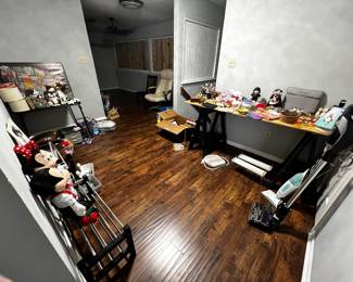 Cleaning supplies, holiday decor, kids toys, office chair, towels and bedding, Mickey and Minnie mouse toys