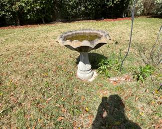 Large cement bird bath