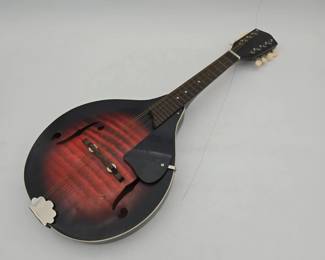 AS-IS Mandolin Lot 19