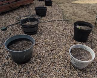 Assorted Plastic and Resin Planters with Drip Irrigation System