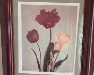 Framed Botanical Print of Tulips