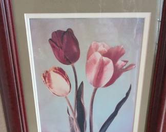 Framed Print of Tulips by Amy Melious