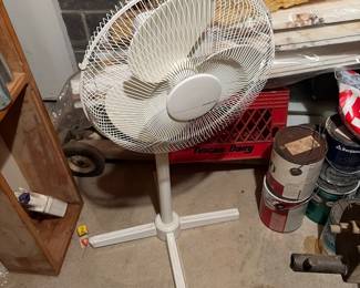 Fan