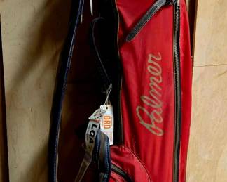 Golf bag and golf clubs