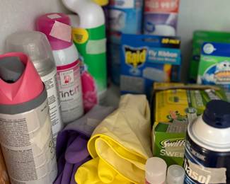 Hallway closet - miscellaneous 