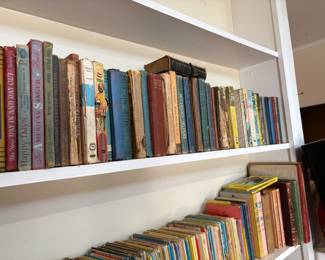 Living Room - More books