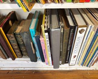 Living Room - lots of books