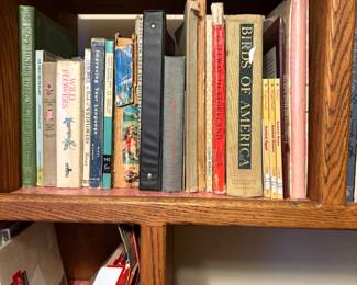 Bedroom 1 - books & more in shelves 