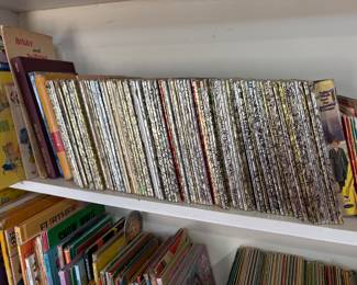 Living Room - More books