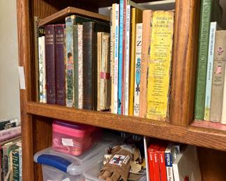 Bedroom 1 - books & more in shelves 