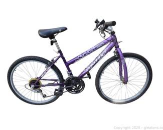 Puffy Lakota Bicycle