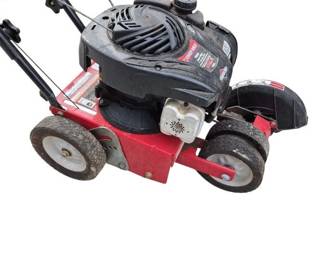 Troy Bilt Lawn Edger