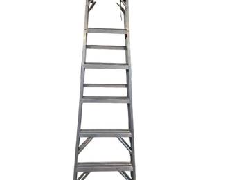 Werner Ladder