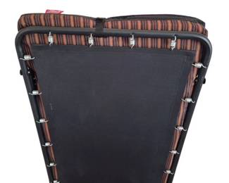 Coleman Cot