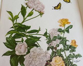 vintage botanical lithograph "Peace Rose & Peony" by Maryrose Wampler
