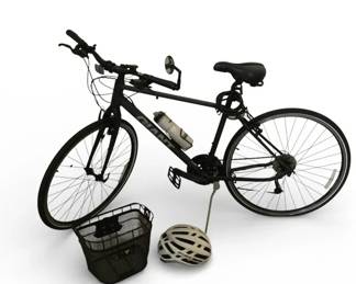 GIANT Escape Hybrid Bicycle