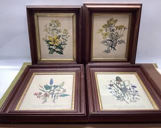 4 FRAMED BOTANICAL PRINTS 13x16