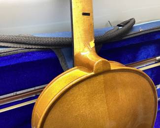 STENTOR STUDENT 1 VIOLIN With case and accessories