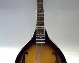 Rogue Mandolin RM.100A Crack at neck and body. No case. No shipping pickup only. Musical Instruments