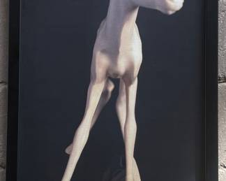 Georgianne Stinnett