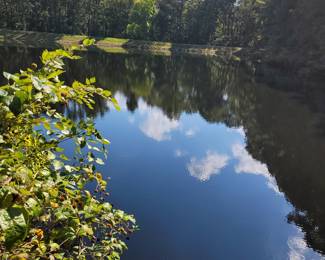 View for sale. See your local realtor.