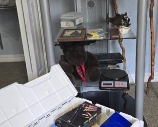 Shelf unit. BHS/DVDs and miscellaneous items 