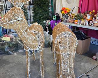 Reindeer and Christmas trees