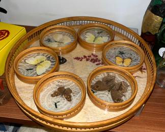 Bamboo Tray And Coaster Set