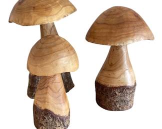 Wood Mushrooms