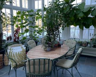 House Plants, Trees, Slated Table