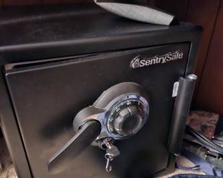 Sentry Safe