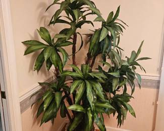 Faux Plant