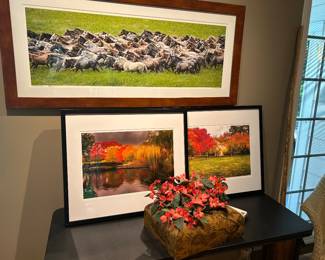 More beautiful  photographic artwork (Bottom 2 are of Loose Park)