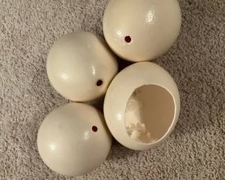 Blown Ostrich Eggs for Crafting 