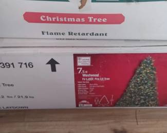 Christmas trees in boxes