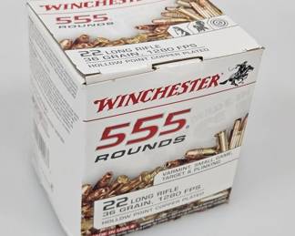 Winchester 22LR 36gr HP Copper Plated 555ct Ammo