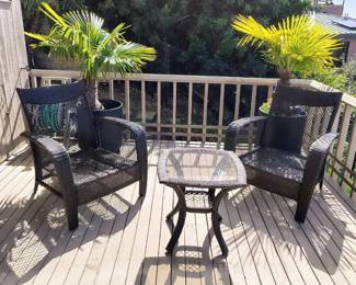 JB140Rattan Patio Set With 2 Potted Plants