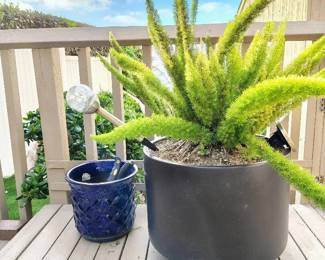 JB197Planted Pot, Planter Pot And Tools