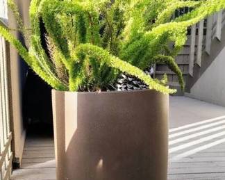 JB203Large Potted Plant